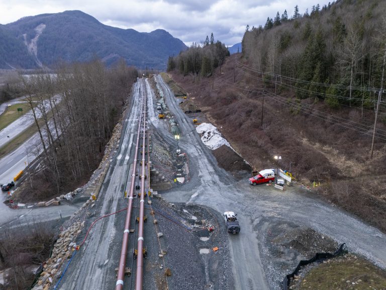 pipeline survey